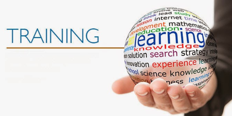 Training and Workshops